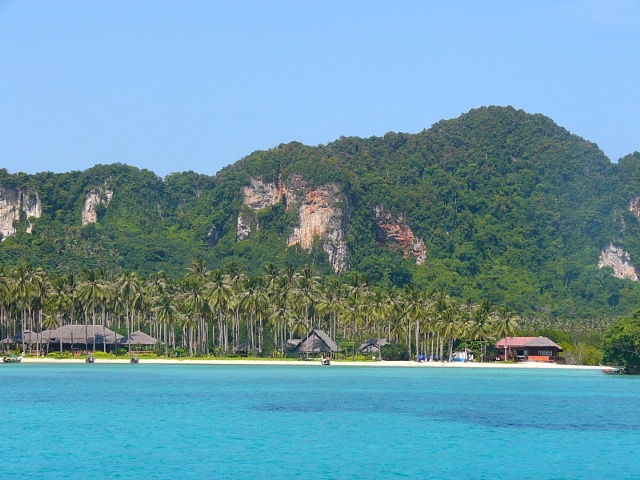 resort under palms